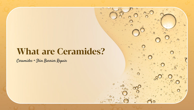 Ceramides for Skin: Benefits, Types, Uses and How They Support the Skin Barrier