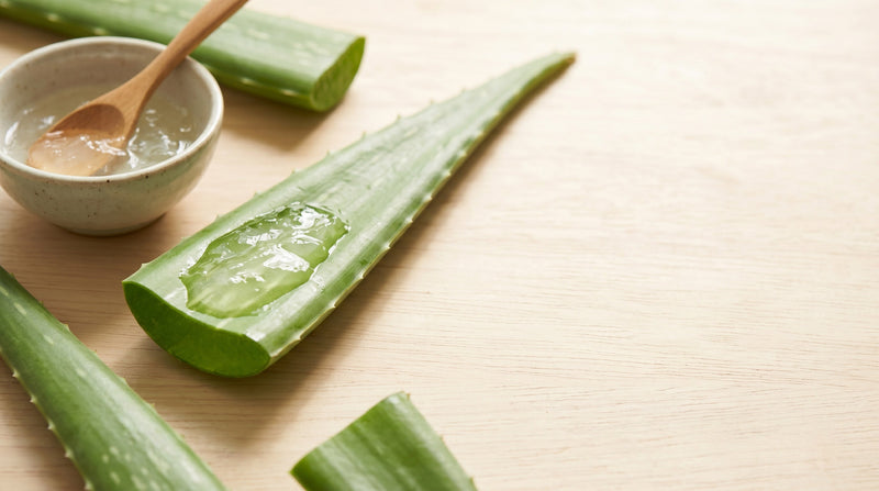 How Aloe Vera Helps Dry Skin: Benefits, Uses & Hydration Properties