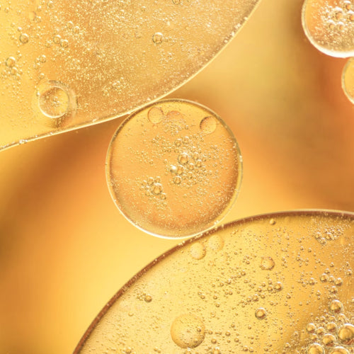 5 Essential Ceramides