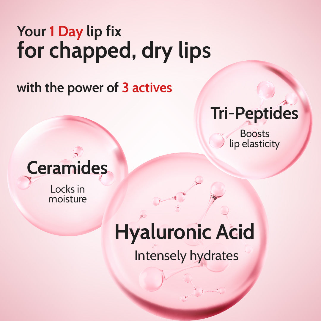 Cherry Lip Balm for Chapped Lips | SPF 50 PA++++ | Cherry - 4.5 gm