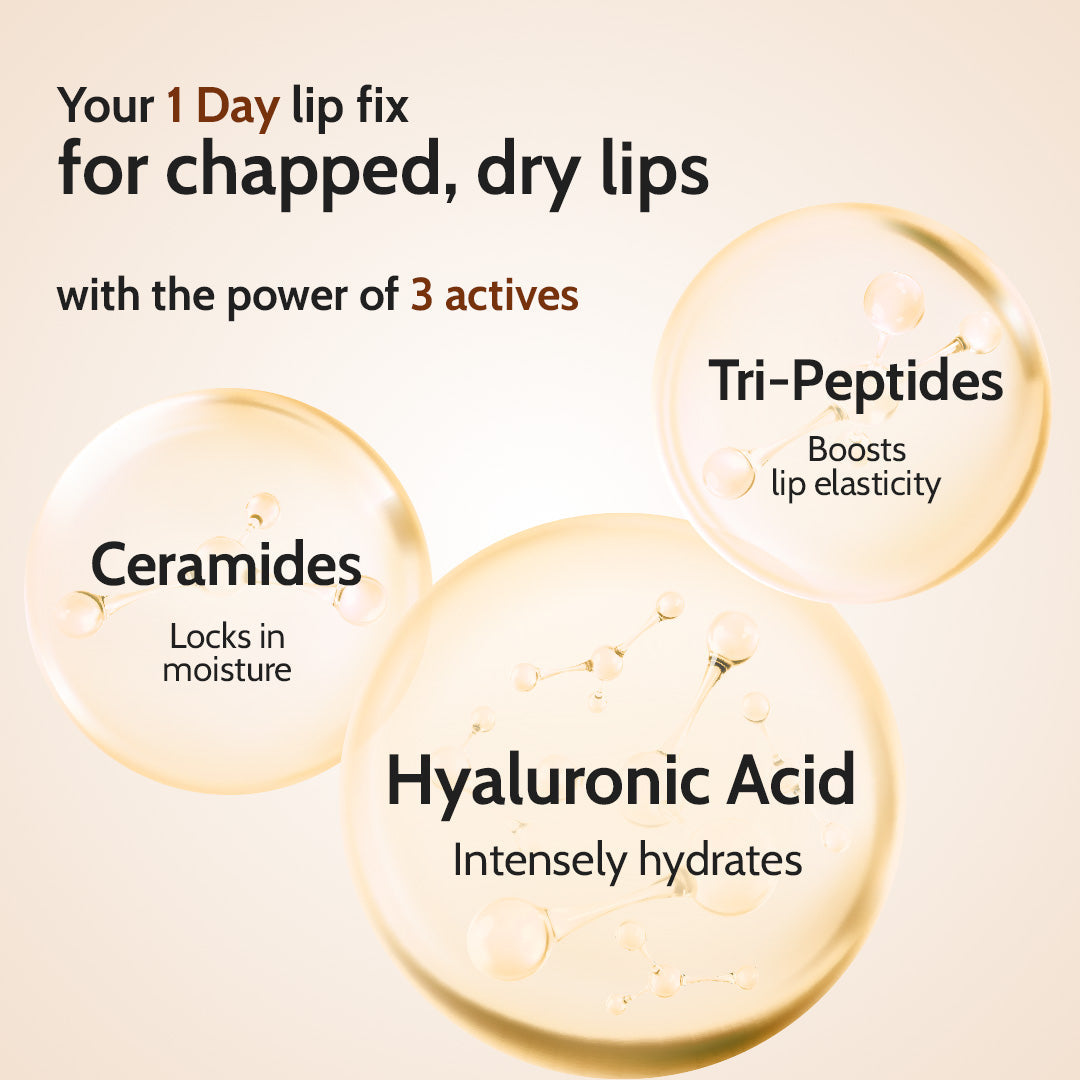 Natural Lip Balm for Chapped Lips | SPF 50 PA++++ | Natural - 4.5 gm | Pack of 2