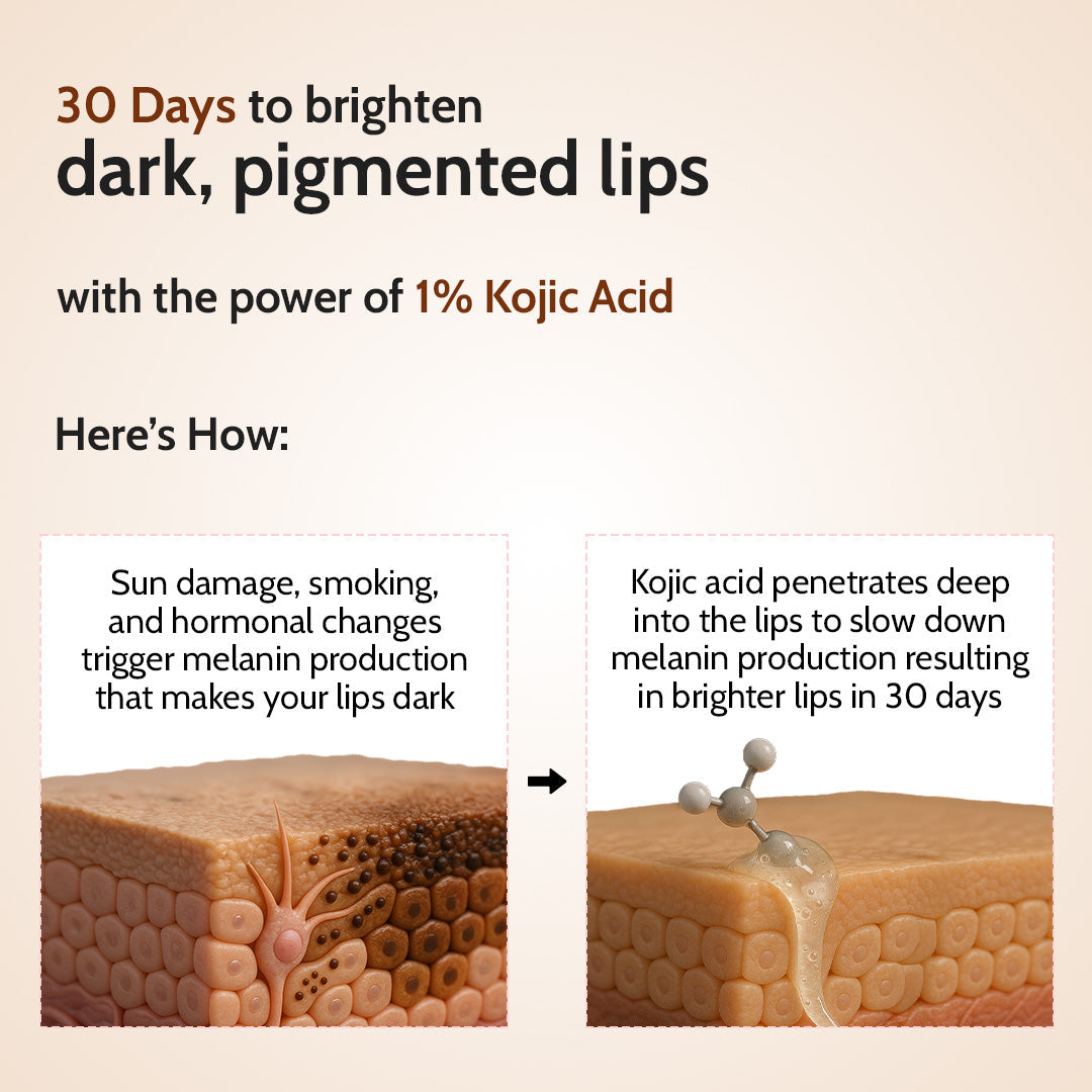 Natural Lip Balm for Chapped Lips | SPF 50 PA++++ | Natural - 4.5 gm | Pack of 3