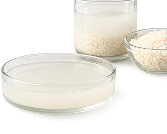 Fermented Rice Extract