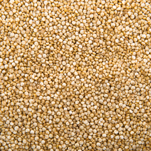 Quinoa Protein