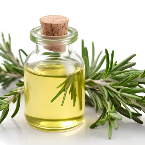 Rosemary Oil