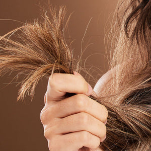 Damaged Hair image