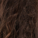 Frizz image